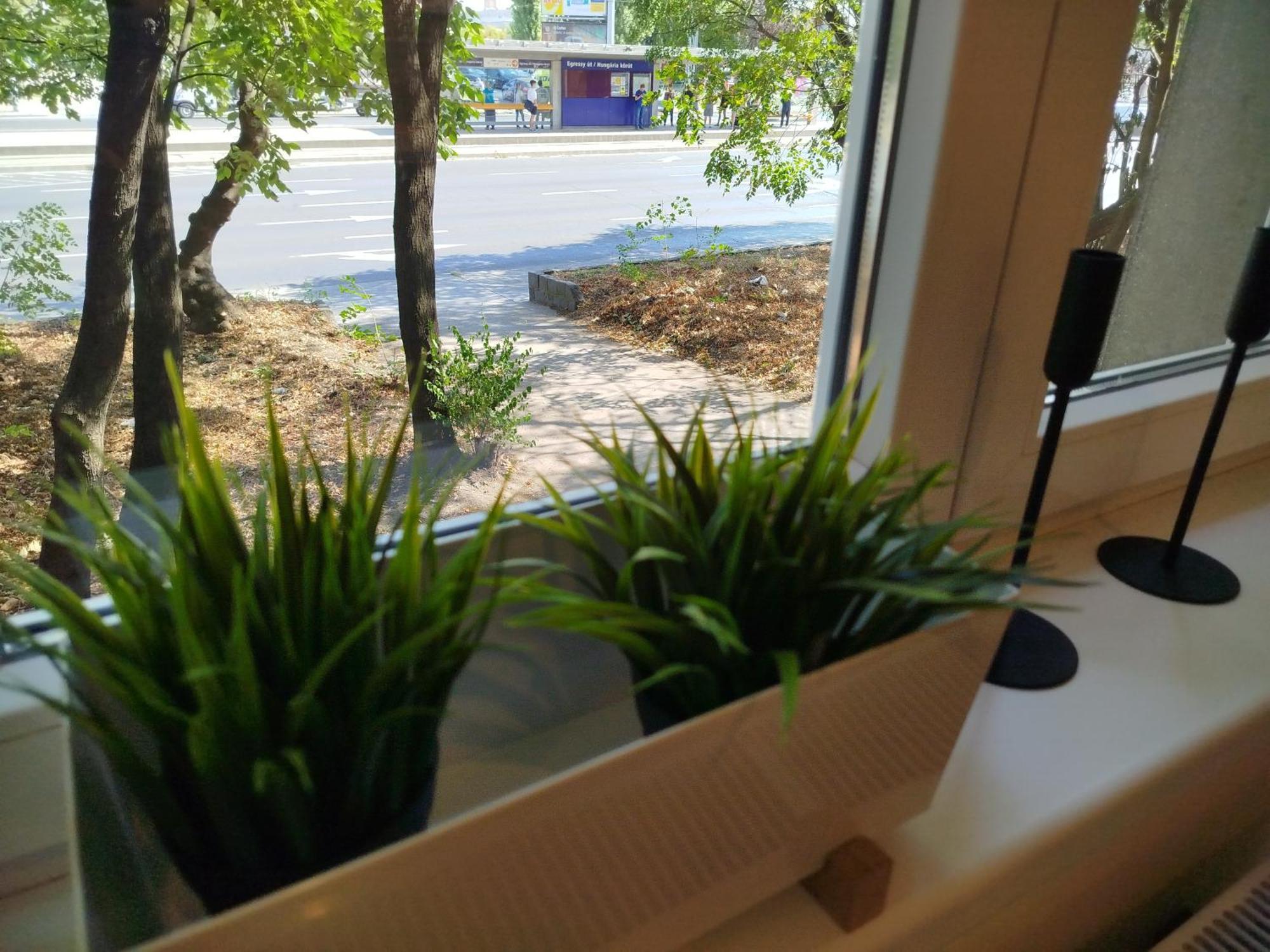 Lady Mabel'S Apartment Near To Arena, Puskas Stadion And City Park, With Guarded Parking Place 부다페스트 외부 사진