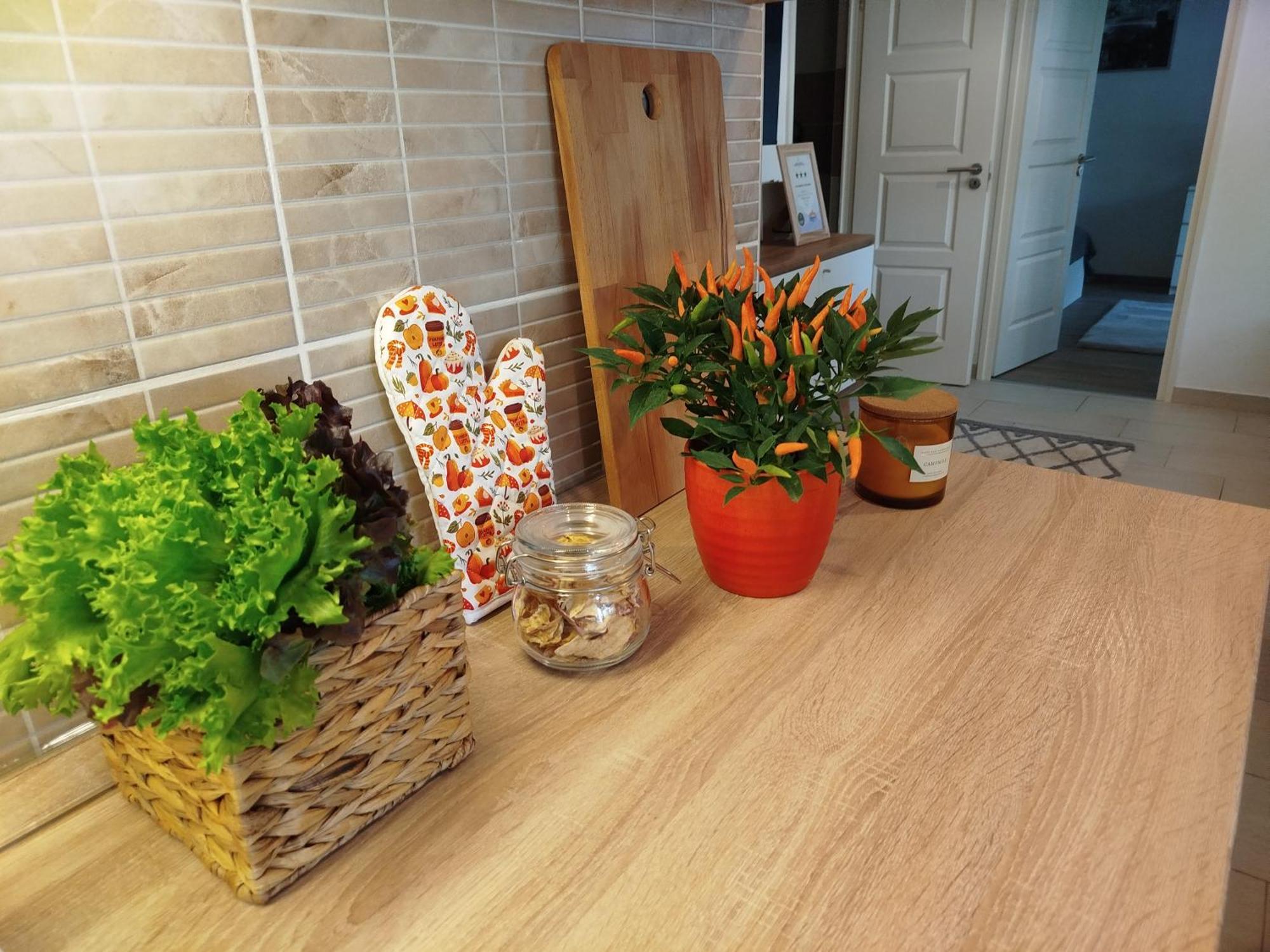 Lady Mabel'S Apartment Near To Arena, Puskas Stadion And City Park, With Guarded Parking Place 부다페스트 외부 사진